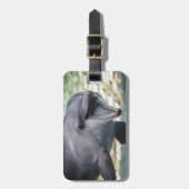 Gettyのイメージ|のイルカ ラゲッジタグ (正面縦)