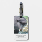 Gettyのイメージ|のイルカ ラゲッジタグ (裏面縦)