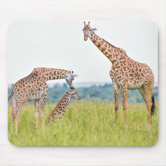 Gettyのイメージ|のキリン家族 マウスパッド (正面)