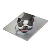 Gettyのイメージ|のフレンチ・ブルドッグ タイル (側面)