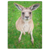 Gettyのイメージ|のベビーのカンガルー クリップボード (裏面)