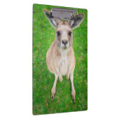 Gettyのイメージ|のベビーのカンガルー クリップボード (右)