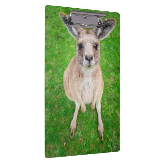 Gettyのイメージ|のベビーのカンガルー クリップボード (右)