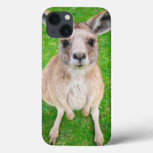 Gettyのイメージ のベビーのカンガルー iPhone 13ケース