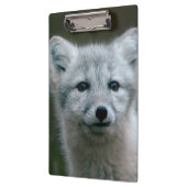 Gettyのイメージ|のホッキョクギツネのキット クリップボード (左)