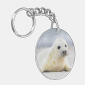 Gettyのイメージ|の子どものアシカ キーホルダー (正面左)