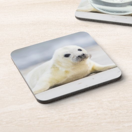 Gettyのイメージ|の子どものアシカ コースター (左側)