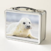 Gettyのイメージ|の子どものアシカ メタルランチボックス (裏面)