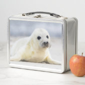 Gettyのイメージ|の子どものアシカ メタルランチボックス (インサイチュ)