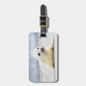 Gettyのイメージ|の子どものアシカ ラゲッジタグ (正面縦)