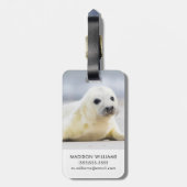 Gettyのイメージ|の子どものアシカ ラゲッジタグ (裏面縦)