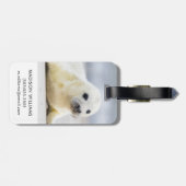 Gettyのイメージ|の子どものアシカ ラゲッジタグ (裏面横)