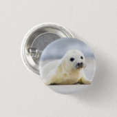 Gettyのイメージ|の子どものアシカ 缶バッジ (正面&裏面)