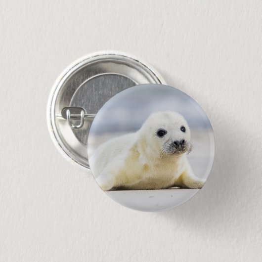 Gettyのイメージ|の子どものアシカ 缶バッジ (正面&裏面)