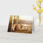 Gettyのイメージ|の寄添うブタ カード (黄色い花)