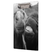 Gettyのイメージ|の微笑の馬 クリップボード (左)