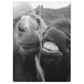 Gettyのイメージ|の微笑の馬 クリップボード (裏面)