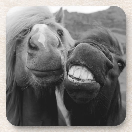 Gettyのイメージ|の微笑の馬 コースター (正面)