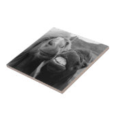 Gettyのイメージ|の微笑の馬 タイル (側面)