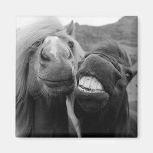 Gettyのイメージ の微笑の馬 マグネット