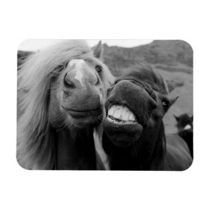 Gettyのイメージ の微笑の馬 マグネット