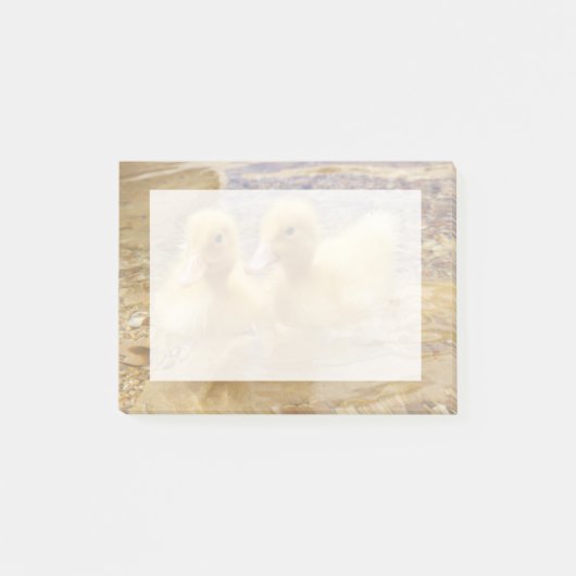 Gettyのイメージ|の曖昧で黄色い子ガモ ポストイット (正面)