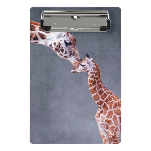 Gettyのイメージ|の母及びベビーのキリン ミニクリップボード (正面)