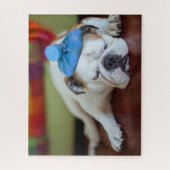 Gettyのイメージ|の病気の若い子犬 ジグソーパズル (縦)