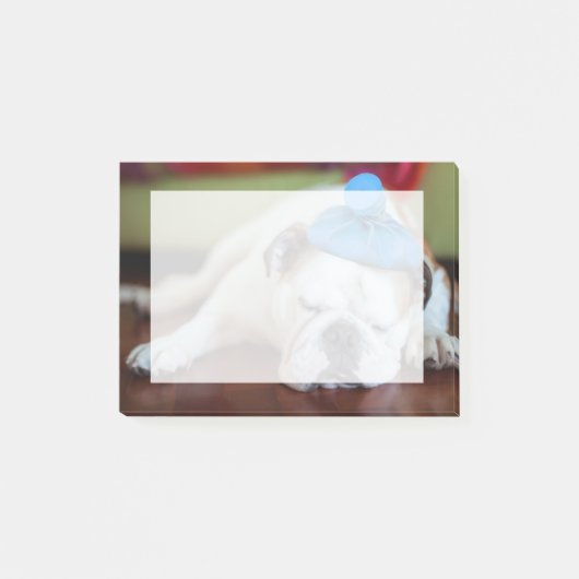 Gettyのイメージ|の病気の若い子犬 ポストイット (正面)