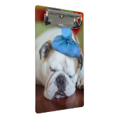 Gettyのイメージ|の病気の若い子犬 ミニクリップボード (アングル)