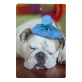 Gettyのイメージ|の病気の若い子犬 ミニクリップボード (裏面)