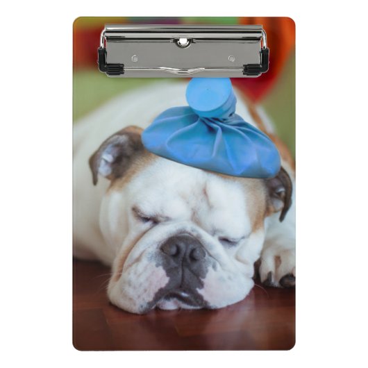 Gettyのイメージ|の病気の若い子犬 ミニクリップボード (正面)