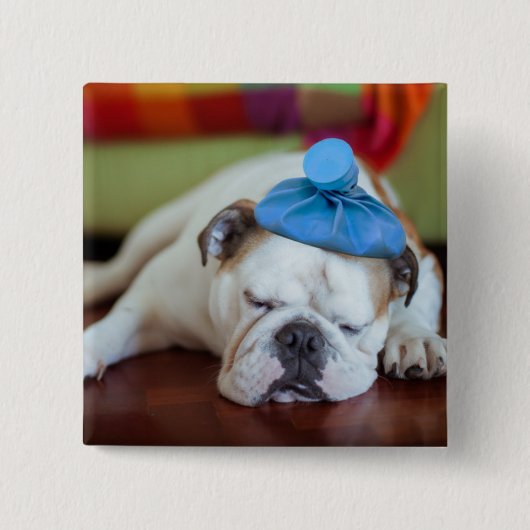 Gettyのイメージ|の病気の若い子犬 缶バッジ (正面)