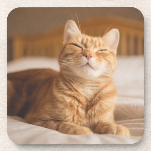 Gettyのイメージ|の眠い猫 コースター (正面)