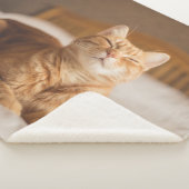 Gettyのイメージ|の眠い猫 シェルパブランケット (3/4)