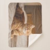 Gettyのイメージ|の眠い猫 シェルパブランケット (正面)