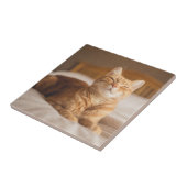 Gettyのイメージ|の眠い猫 タイル (側面)