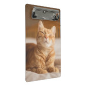 Gettyのイメージ|の眠い猫 ミニクリップボード (アングル)