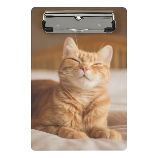 Gettyのイメージ|の眠い猫 ミニクリップボード (正面)