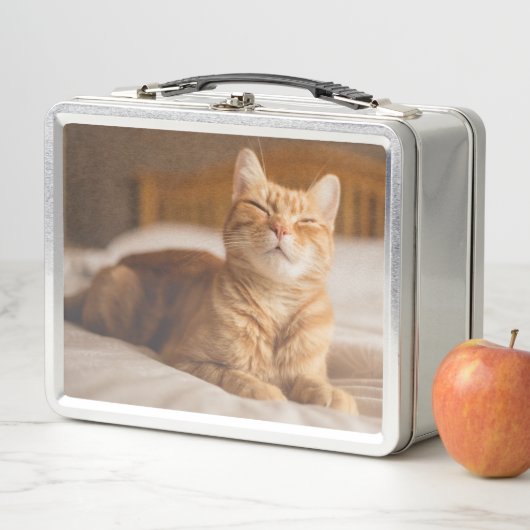 Gettyのイメージ|の眠い猫 メタルランチボックス (インサイチュ)