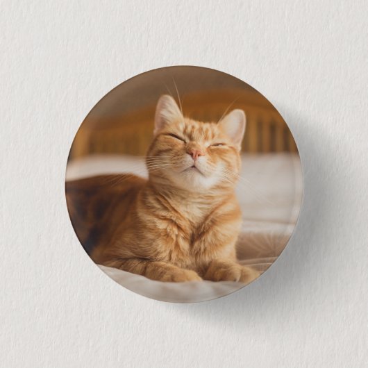 Gettyのイメージ|の眠い猫 缶バッジ (正面)