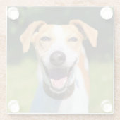 Gettyのイメージ|の笑う犬 ガラスコースター (裏面)