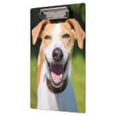 Gettyのイメージ|の笑う犬 クリップボード (左)