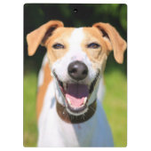 Gettyのイメージ|の笑う犬 クリップボード (裏面)