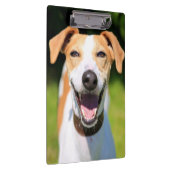 Gettyのイメージ|の笑う犬 クリップボード (右)