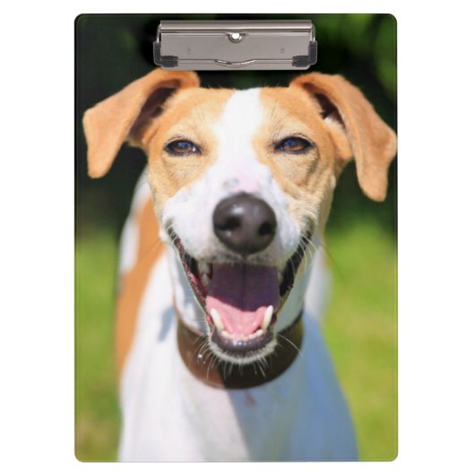 Gettyのイメージ|の笑う犬 クリップボード (正面)