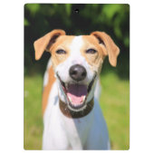 Gettyのイメージ|の笑う犬 クリップボード (裏面)