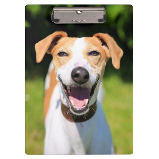 Gettyのイメージ|の笑う犬 クリップボード (正面)