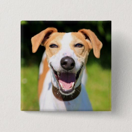 Gettyのイメージ|の笑う犬 缶バッジ (正面)