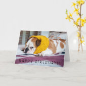 Gettyのイメージ|の英国のブルドッグ カード (黄色い花)